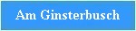 Am Ginsterbusch