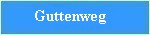 Guttenweg