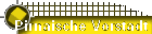 Pirnaische Vorstadt